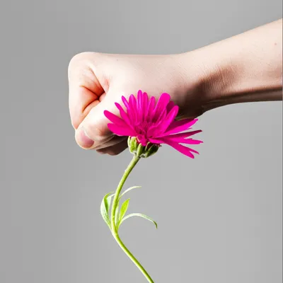 Illustration displaced - Image 1