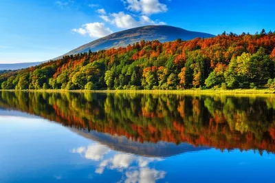 Illustration mirror - Image 1