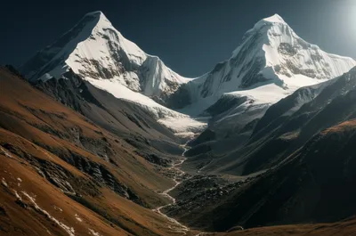 Illustration cols - Image 1