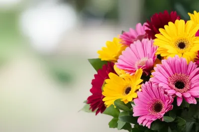 Illustration putty - Image 1