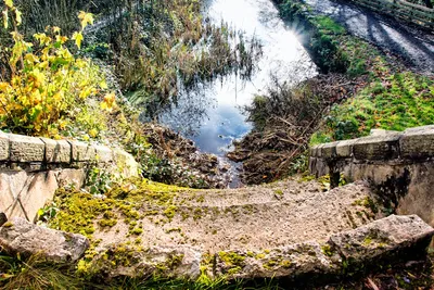 Illustration nooks - Image 2