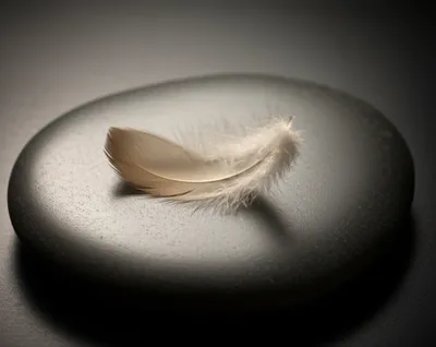 Illustration hair - Image 1