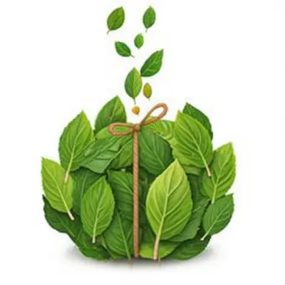 Illustration condensation - Image 1