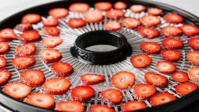 Illustration cure - Image 1