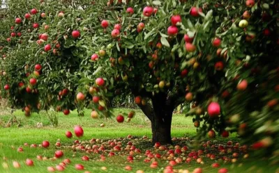 Illustration shaking - Image 1