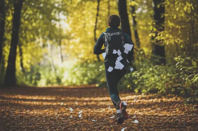 Illustration hare - Image 1