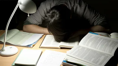 Illustration lessons - Image 1