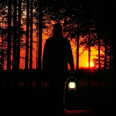 Illustration wardens - Image 1