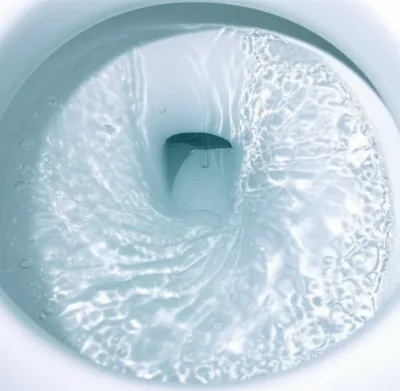 Illustration flushing - Image 1