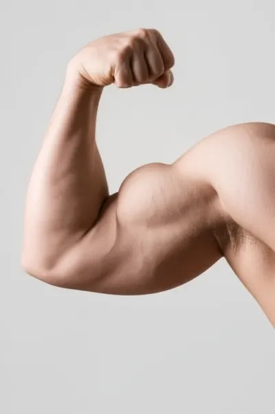 Illustration tubers - Image 1