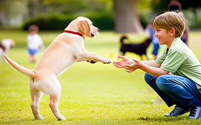 Illustration bad - Image 1