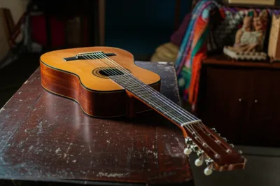 Illustration violas - Image 1