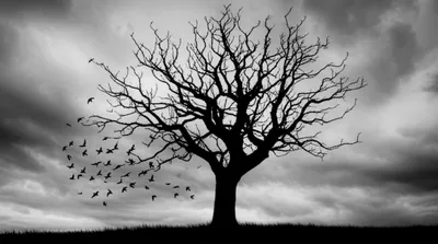 Illustration ominous - Image 1