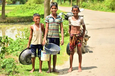 Illustration buckets - Image 2