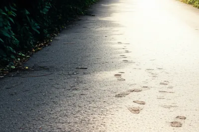 Illustration rite - Image 1