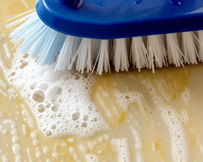 Illustration scrubbed - Image 1