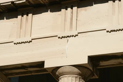 Illustration tenia - Image 1