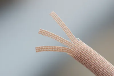 Illustration tails - Image 1