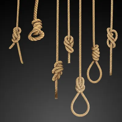 Illustration links - Image 1