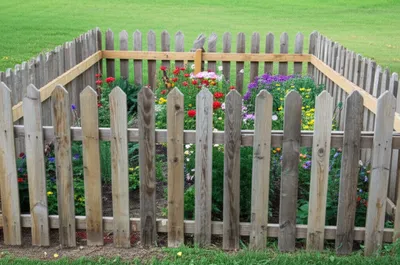 Illustration sept - Image 1