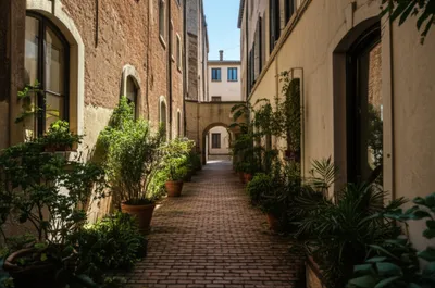 Hình ảnh minh họa ct - Ảnh 1