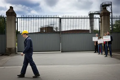 Illustration blacklegged