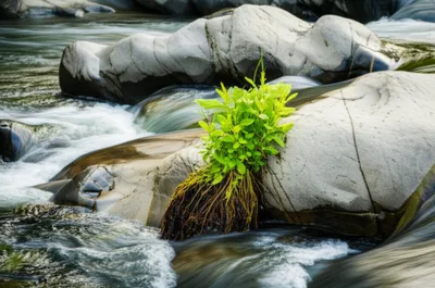 Illustration washing - Image 1