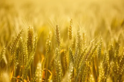 Illustration theta - Image 1