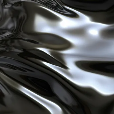 Illustration brant - Image 1