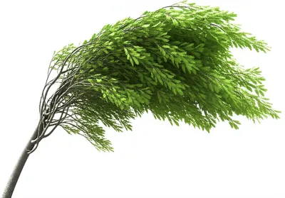 Illustration given - Image 1