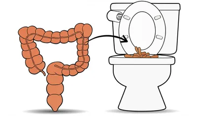 Hình ảnh minh họa defecate - Ảnh 1