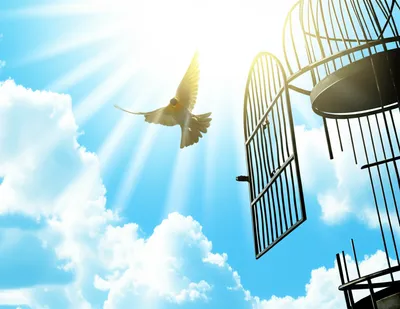 Illustration escapee - Image 1