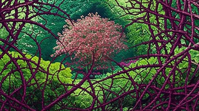 Illustration malignancy