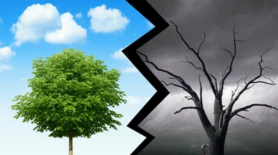 Illustration contradicted - Image 1