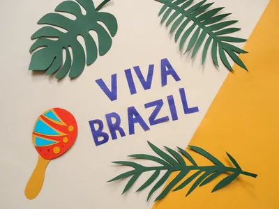 Illustration vivas - Image 2