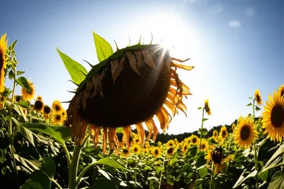 Illustration unlike - Image 1