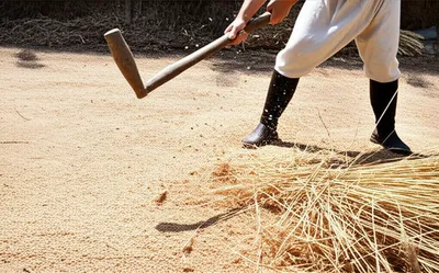 Illustration thrashing - Image 1