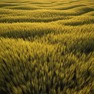 Illustration undulating - Image 1