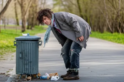 Illustration trog - Image 1