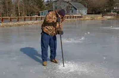 Illustration spud - Image 2