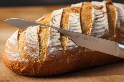 Illustration scotches - Image 1