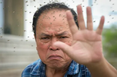 Illustration vexed - Image 1