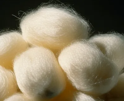 Illustration hackles - Image 1