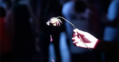 Illustration stab - Image 1