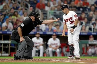 Illustration umpire - Image 1