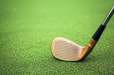 Illustration wood - Image 1