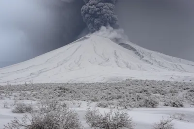 Illustration ashes - Image 1