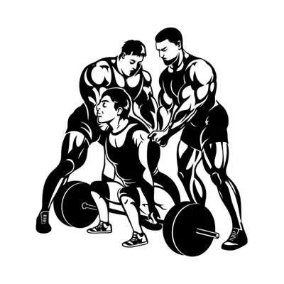 Illustration auxiliaries - Image 1