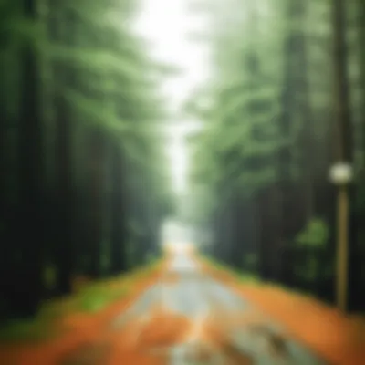 Illustration fuzzy - Image 1