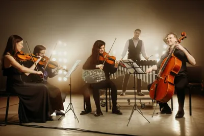 Illustration guests - Image 1